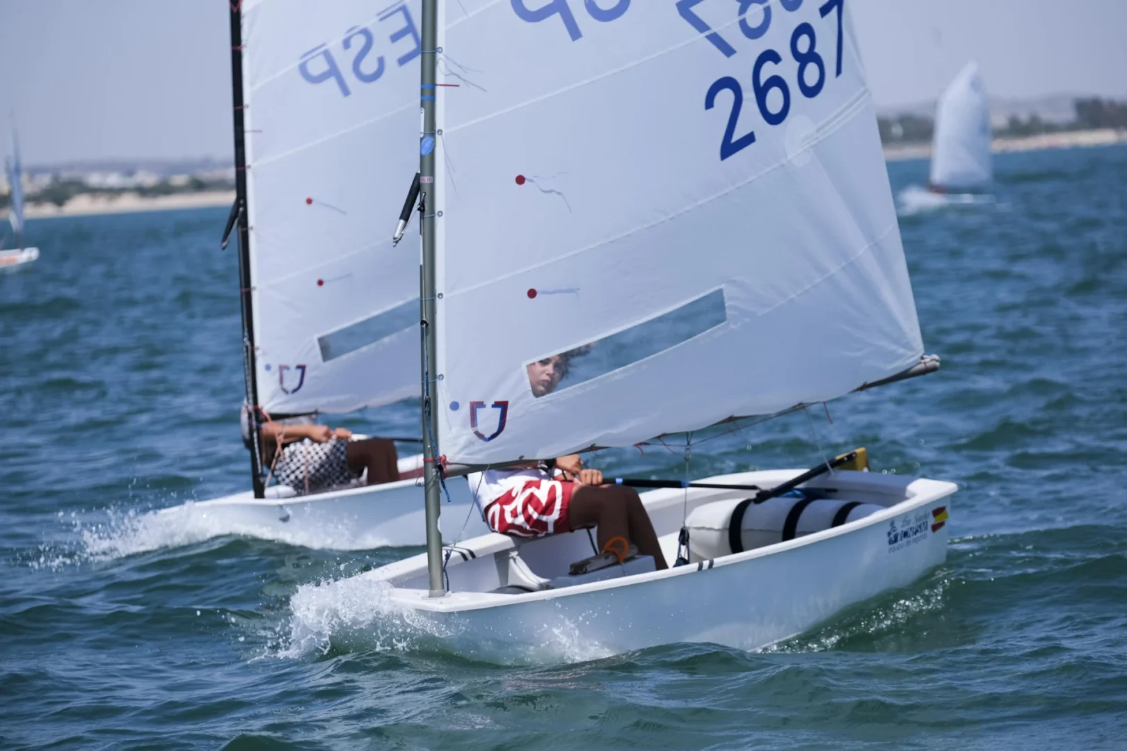 Optimist Regata