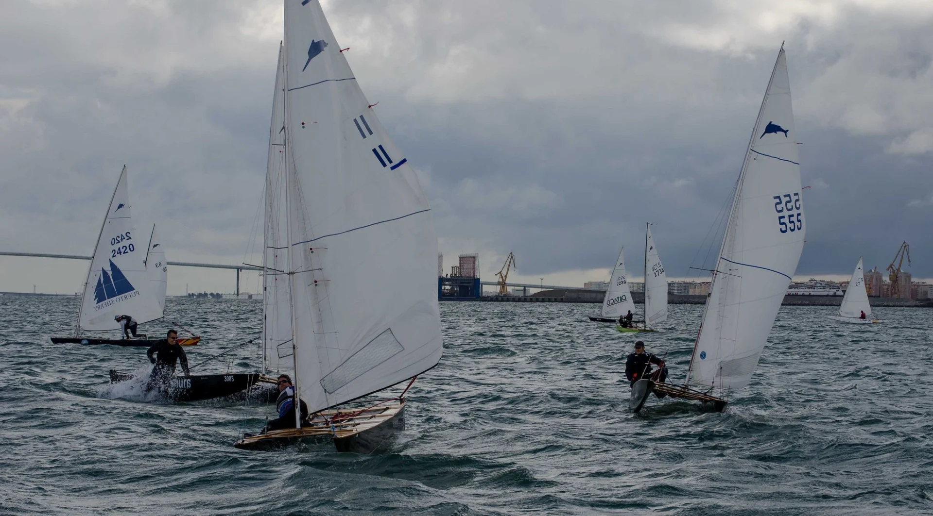 Patin Bahia1