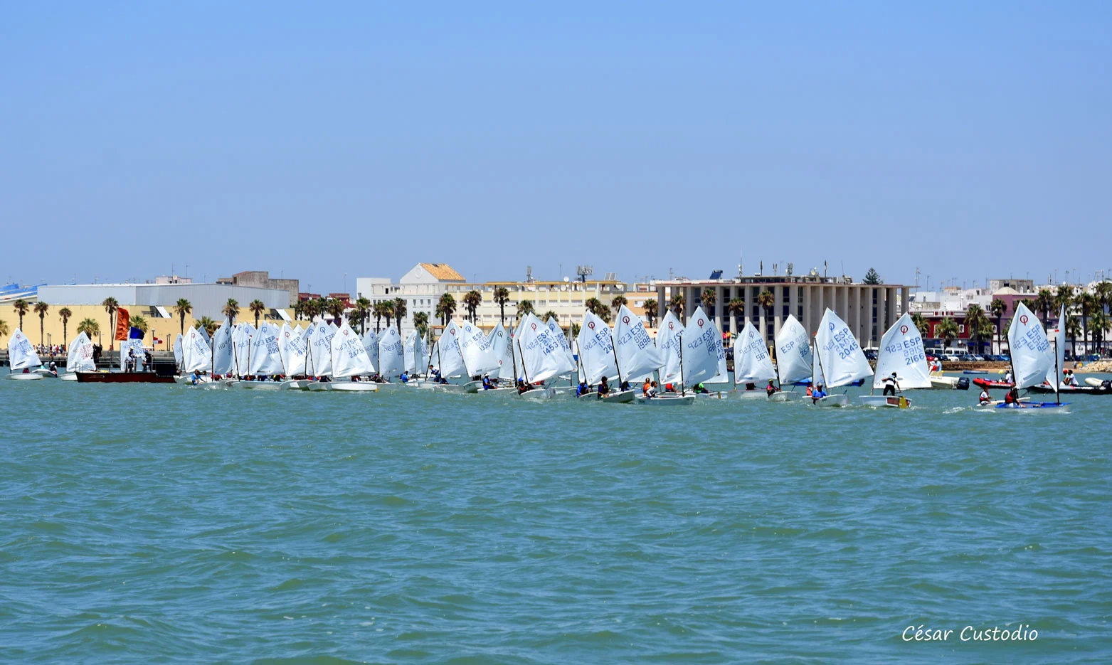 DSC_0359
