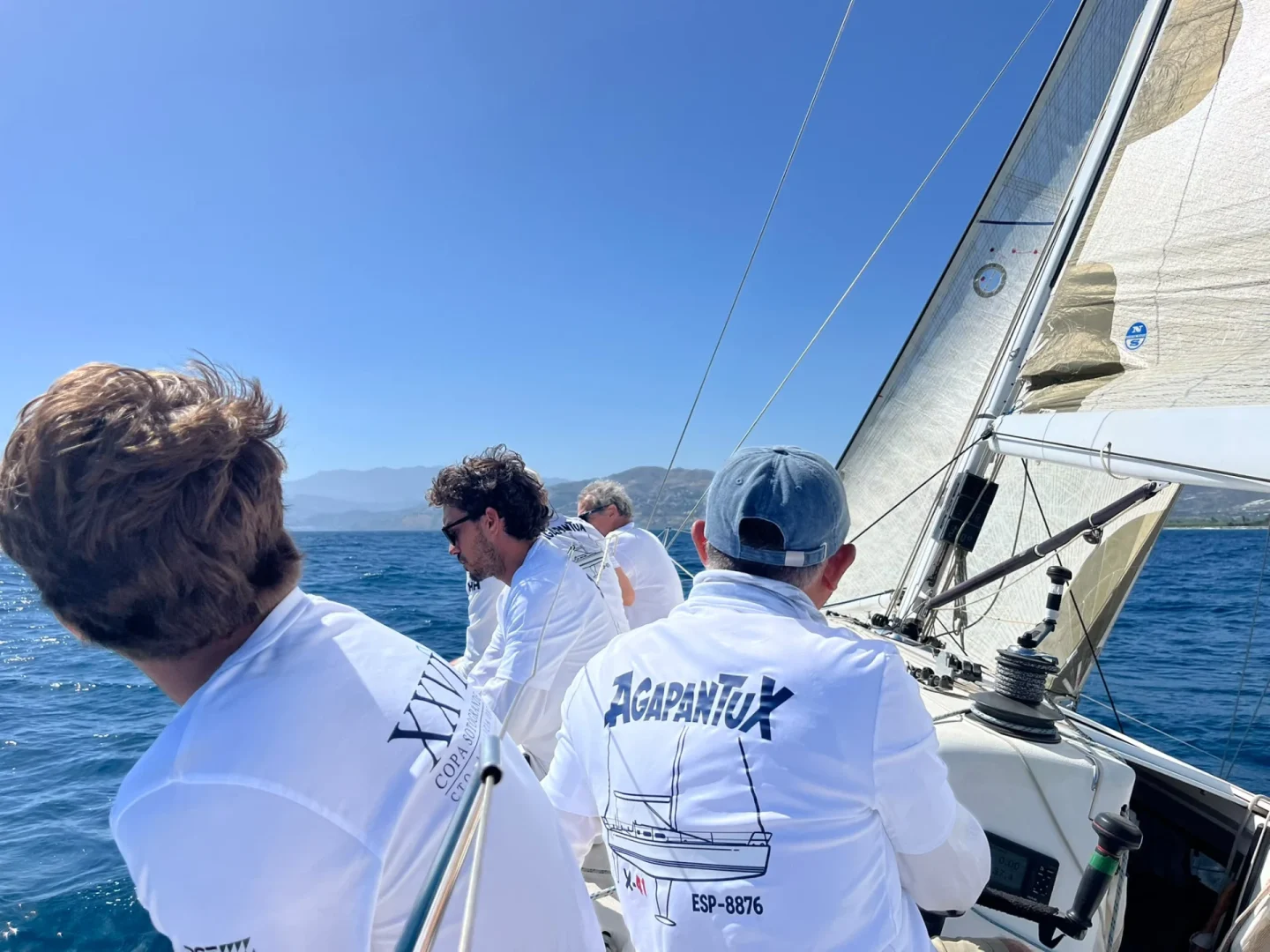 Agapantux Regata